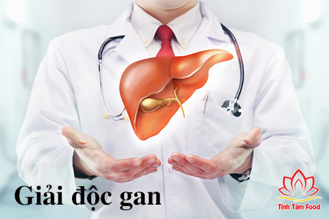 Công dụng giải độc gan của cao atiso