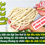 hat-sen-hue-1