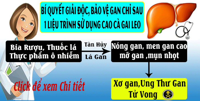 lieu-trinh-cao-ca-gai-leo01