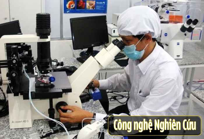 nghiên cứu cà gai leo