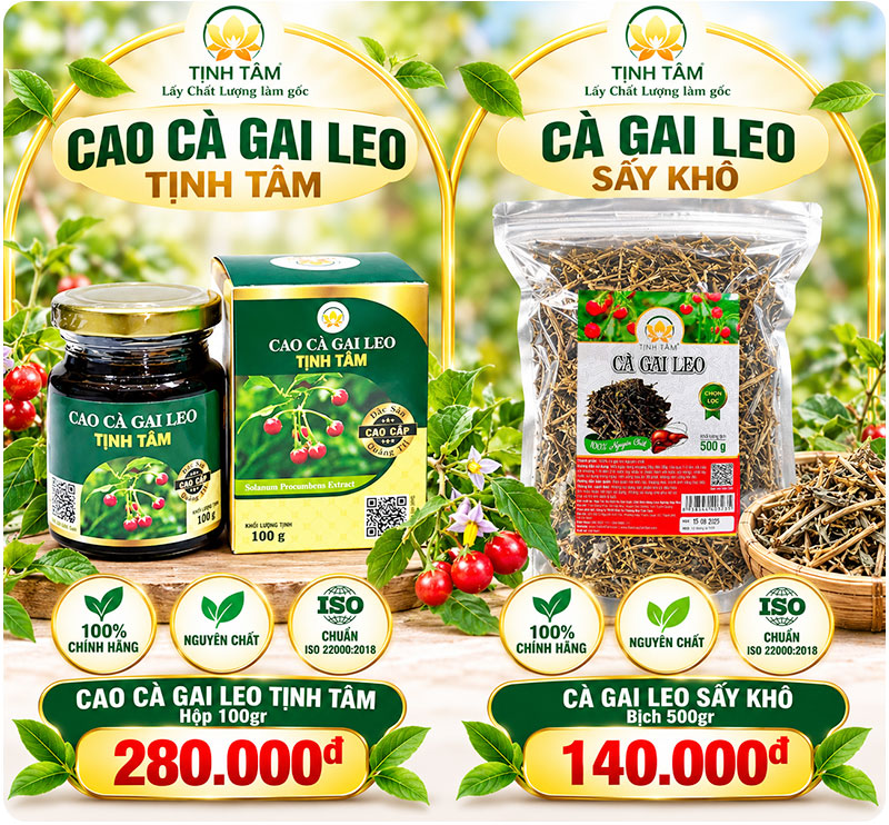bang-gia-ca-gai-leo
