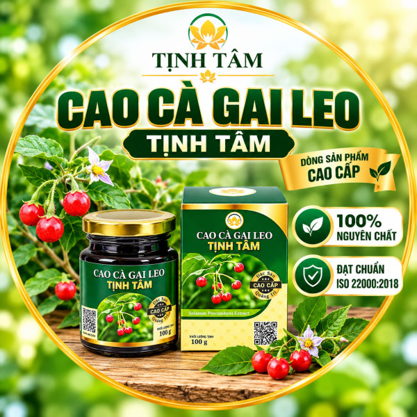 cao-ca-gai-leo-tinh-tam