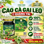 cao-ca-gai-leo-tinh-tam-cao-cap