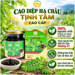 cao-diep-ha-chau-cao-cap-1