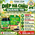 cao-diep-ha-chau-tot-nhat