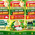 combo-khuyeens-maix-cao-ca-gai-leo