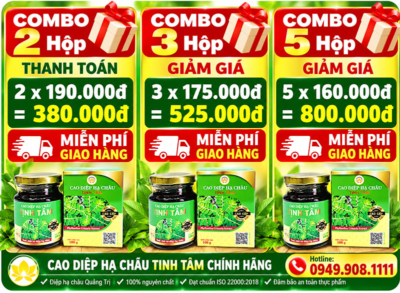 combo-uu-dai-moi-cao-diep-ha-chau