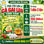 CACH-SU-DUNG-CA-GAI-LEO