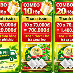 chuong-trinh-uu-dai-ca-gai-leo
