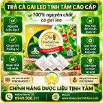 tieu-chuan-tra-ca-gai-leo