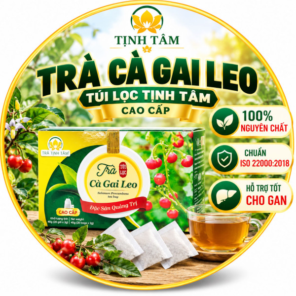 tra-tui-loc-ca-gai-leo