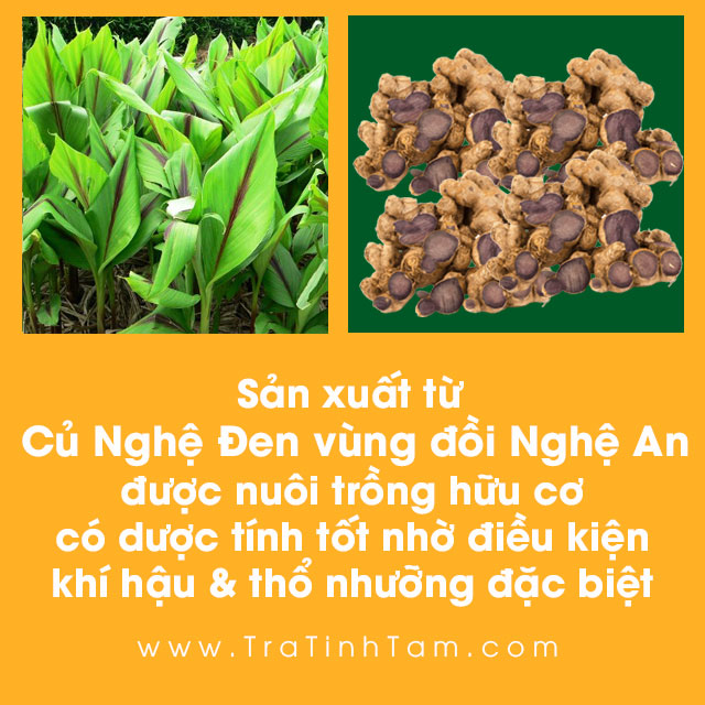 cu-nghe-den